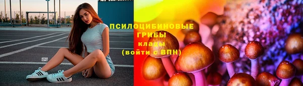 крисы Алзамай