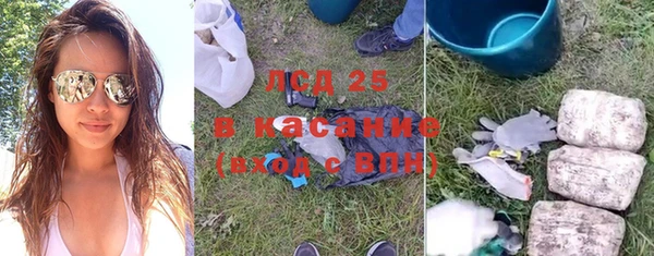 крисы Алзамай