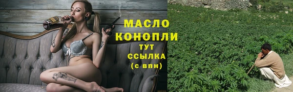 СК Алексин