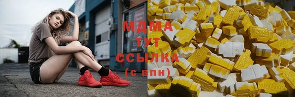 СК Алексин