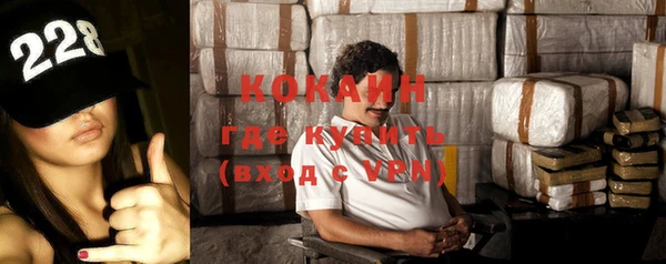 СК Алексин